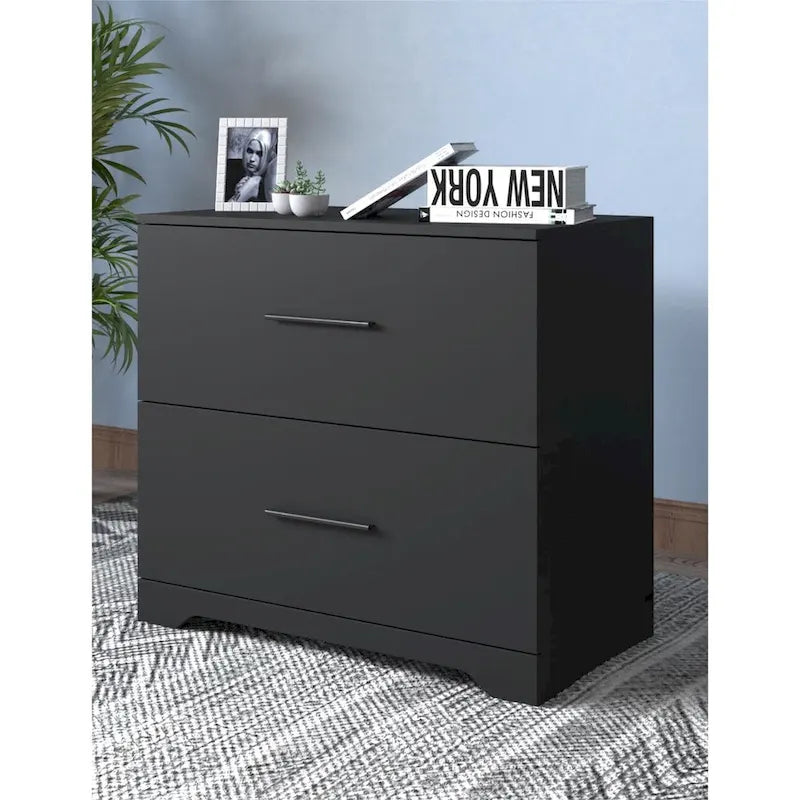 2 -Drawer Lateral Filing Cabinet,Storage Filing Cabinet for Home Office