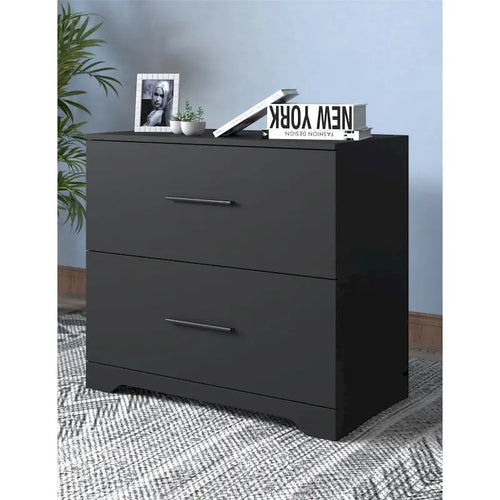 2 -Drawer Lateral Filing Cabinet,Storage Filing Cabinet for Home Office