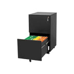 2 Drawer Rolling Locking Office File Cabinet with Lock, Anti-tilt Wheels