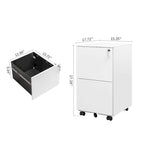 2 Drawer Rolling Locking Office File Cabinet with Lock, Anti-tilt Wheels