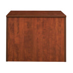 Livingtston 29 Storage Cabinet- Cherry