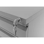 Maddox Modern Matte 3-Drawer Mobile File Cabinet by Furniture of America