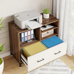 File Cabinet with Drawer, Letter/Letter/A4 Size, Adjustable Rod
