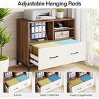 File Cabinet with Drawer, Letter/Letter/A4 Size, Adjustable Rod
