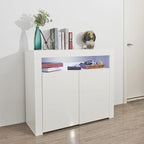Contemporary 2-Door Storage Cabinet with LED Lights