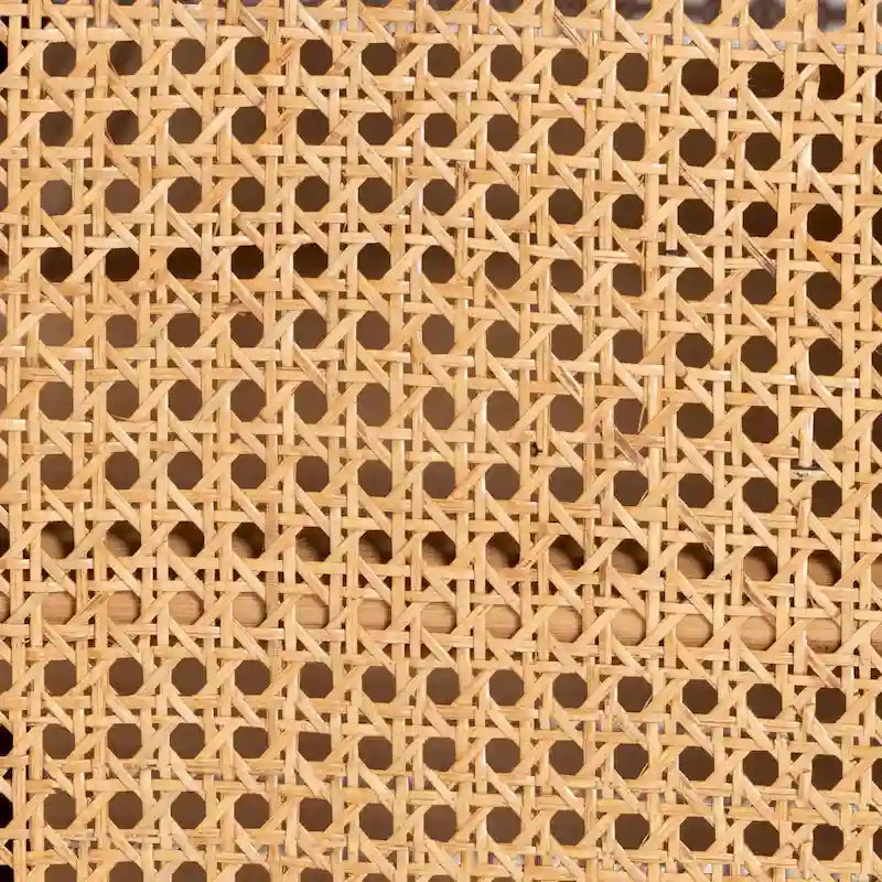 Curacao Modern Bohemian Light Honey Rattan 2-Door Storage Cabinet