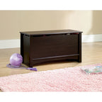 Shoal Creek Collection Storage Chest
