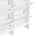 Classic Multifunctional Freestanding Tall Shoe Storage Cabinet