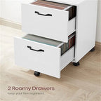 2-Drawer File Cabinet - 15.7D x 16.5W x 27.6H