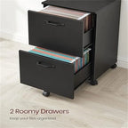 2-Drawer File Cabinet - 15.7D x 16.5W x 27.6H