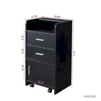 Locking Storage Cabinet with Drawer