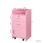 Locking Storage Cabinet with Drawer