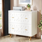 Modern 2-Drawer Lateral File Cabinet, White Office Filing Cabinet for Legal/Letter/A4 Size