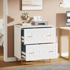 Modern 2-Drawer Lateral File Cabinet, White Office Filing Cabinet for Legal/Letter/A4 Size