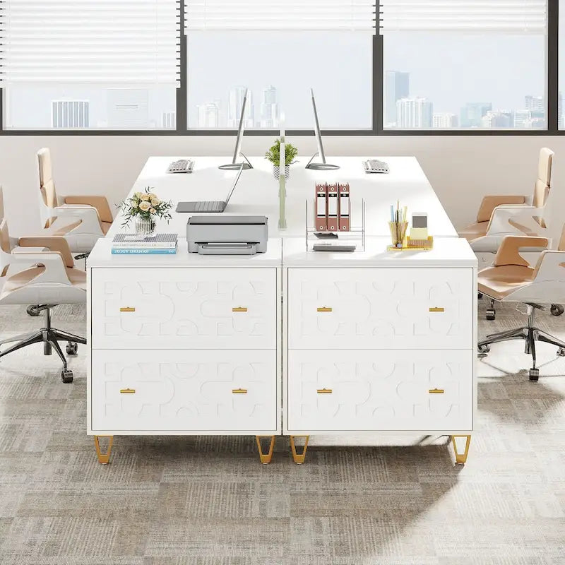 Modern 2-Drawer Lateral File Cabinet, White Office Filing Cabinet for Legal/Letter/A4 Size